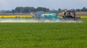 Épandage des pesticides à proximité des habitations : 8 ONG attaquent le décret et l’arrêté devant le Conseil d’Etat